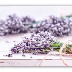 Üveg - kép infrapanel Leven (600 W) Új termék!